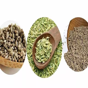  Jeera, Saunf And Ajwain