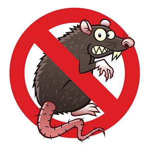  Rat Kill
