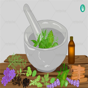  Herbs